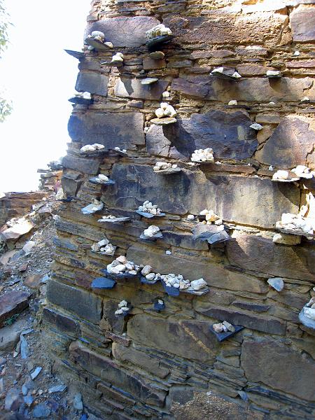 TIBET SEPT2008-328.JPG